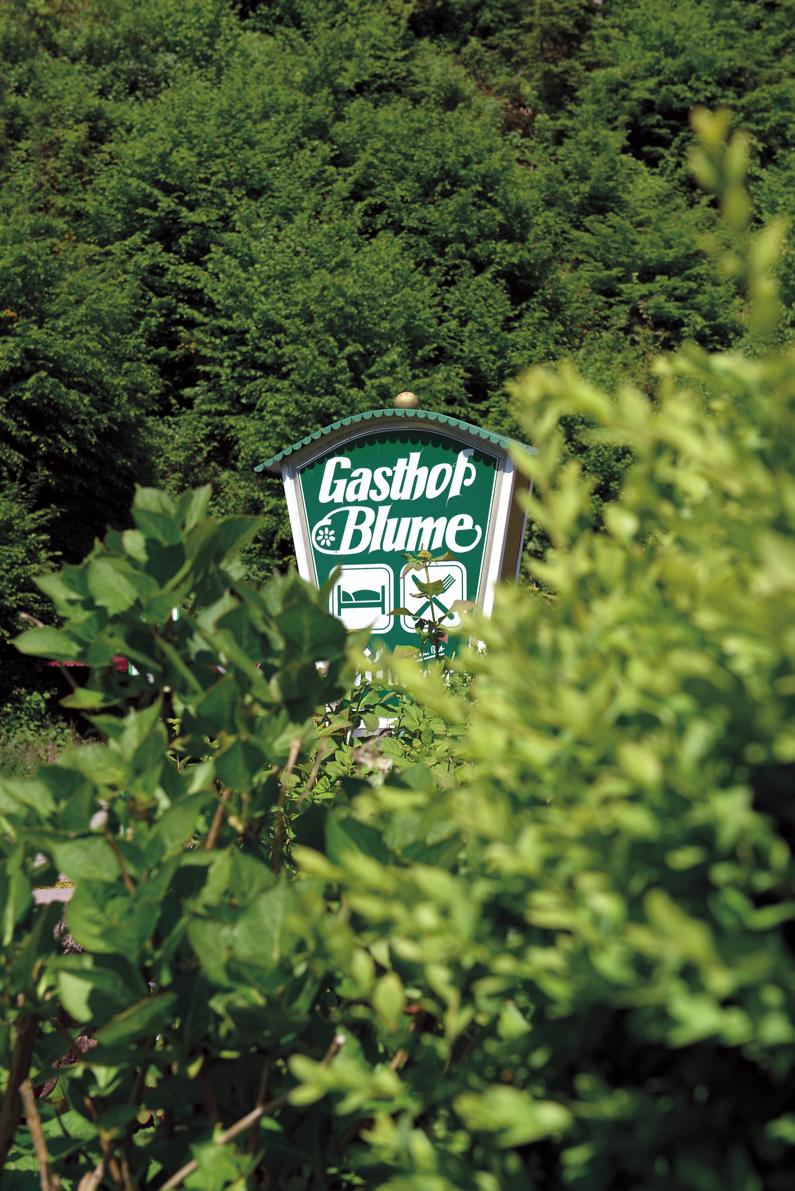 A sign for a hotel named "Castoph Bluem" surrounded by dense greenery.