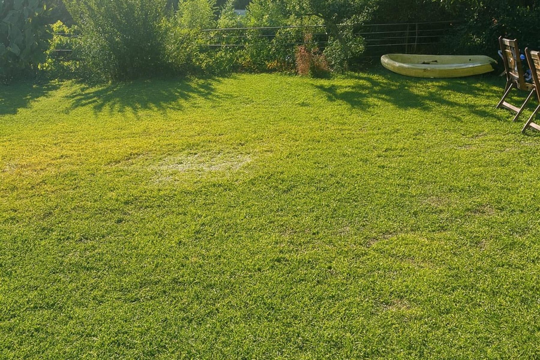En välskött gräsyta med ett runt föremål och en träkonstruktion.