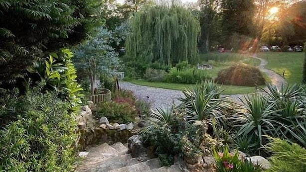 Un sendero de jardín con escalones de piedra que conducen a una zona verde, rodeado de plantas y árboles.
