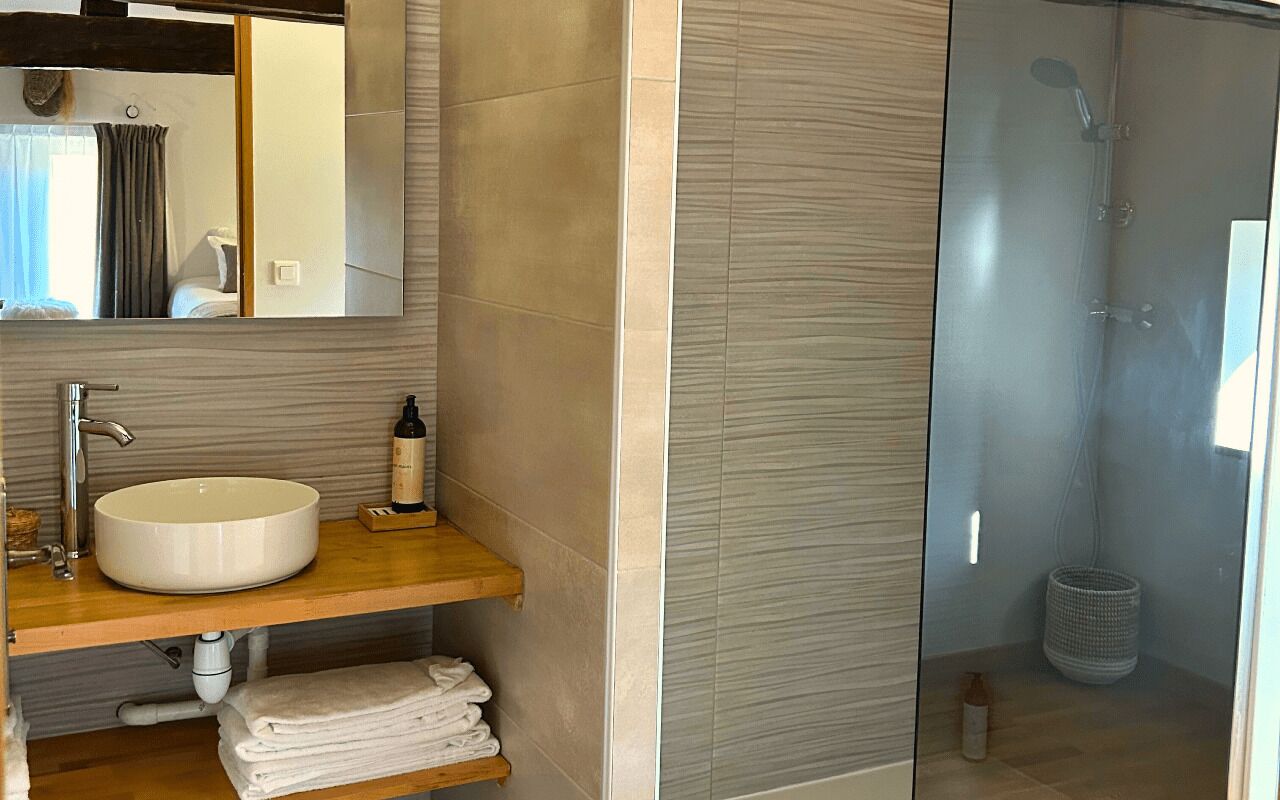 Une salle de bain avec un lavabo, un miroir et une douche.