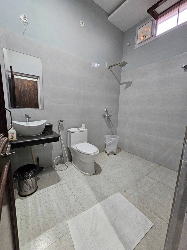 Shower, towels, toilet paper