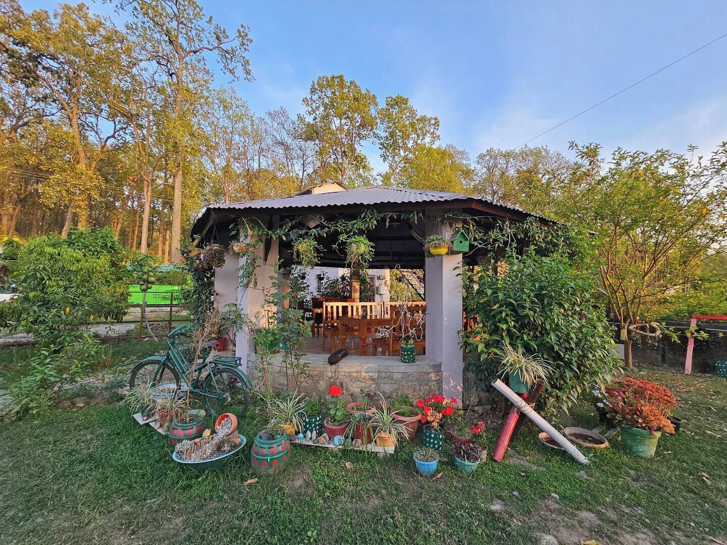 Un kiosque doté d’un toit, entouré de différentes plantes en pot et d’un vélo.