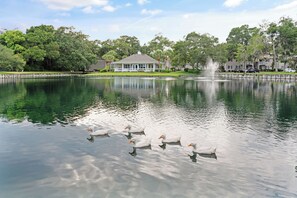 Property grounds - Welcome to Ocean Walk Townhome – your island getaway in the heart of St. Simons! (St Simons Island)