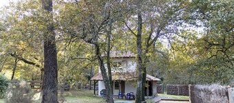 P'tit Gîte La Preillouse in the heart of the Landes de Gascogne Regional Park.