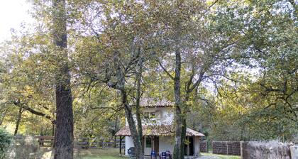 P'tit GĂźte La Preillouse in the heart of the Landes de Gascogne Regional Park.