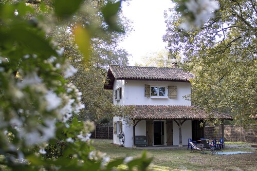 P'tit Gîte La Preillouse in the heart of the Landes de Gascogne Regional Park.