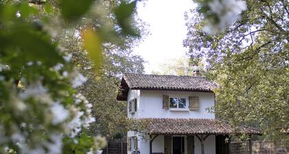 P'tit Gîte La Preillouse in the heart of the Landes de Gascogne Regional Park.