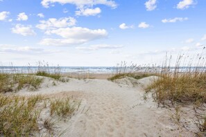 Ein Sandweg am Strand, der zum Meer führt, umgeben von Gras und Dünen.