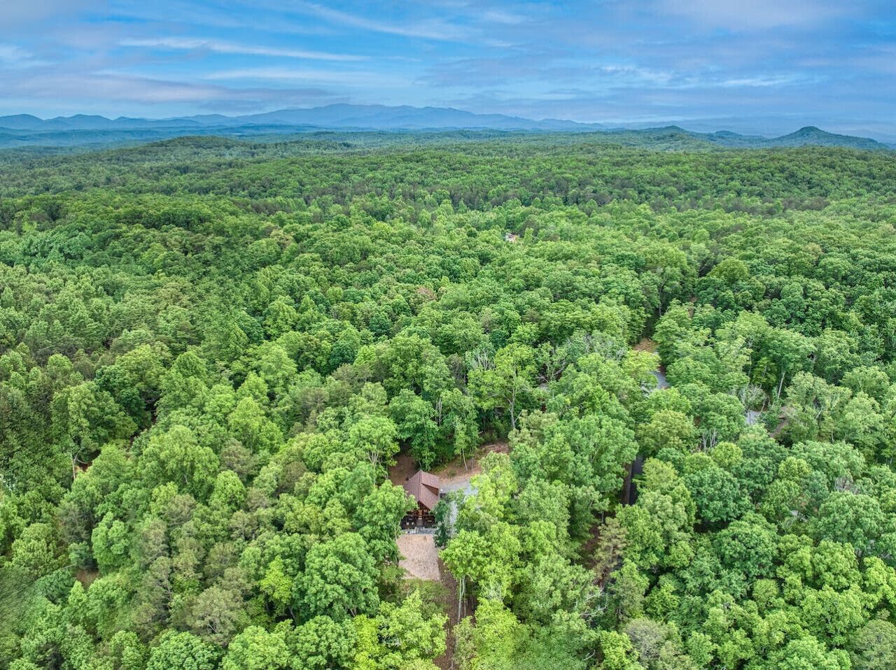 A dense forest with a small cabin surrounded by trees.