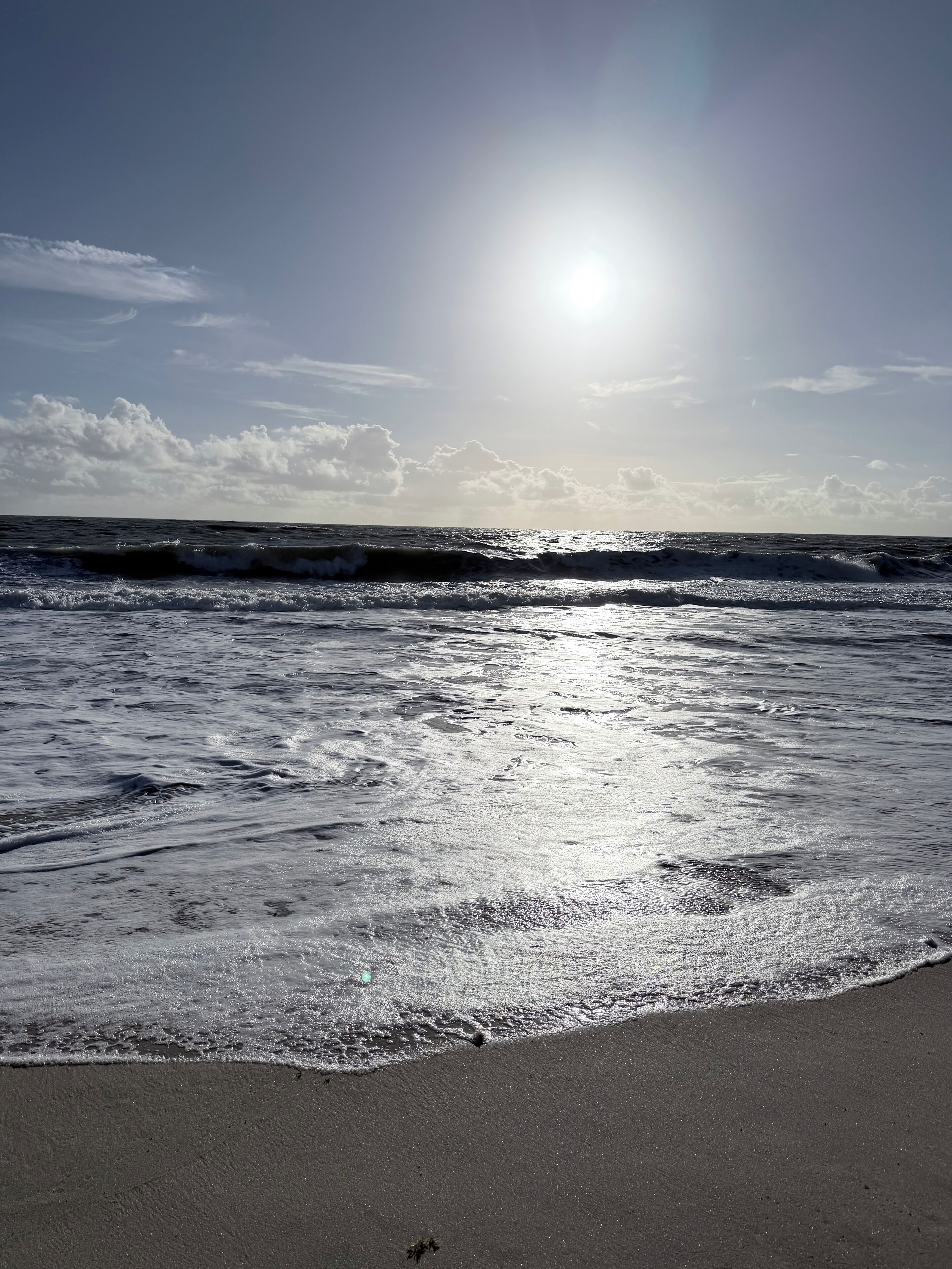 بالقرب من الشاطئ