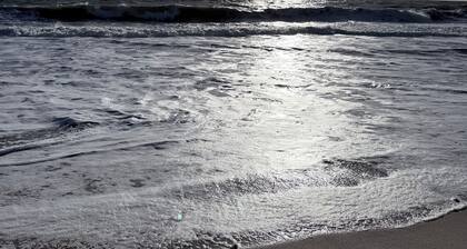 Vero Beach Condo 2Bed/2Bath - Walk to the beach