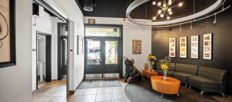 The 333 Suites 201 Stay for 6