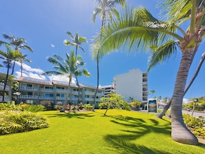 Exterior - Ocean-view Condo – Private Lanai - In Kona Town (Kailua-Kona)