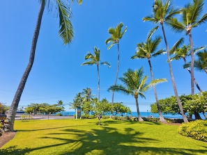 Property grounds - Ocean-view Condo – Private Lanai - In Kona Town (Kailua-Kona)