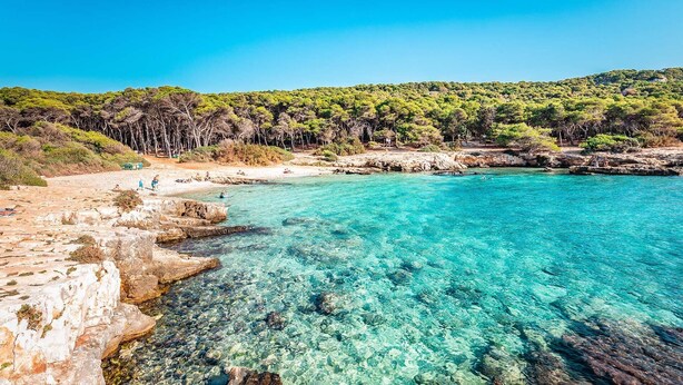 A coastal beach with clear turquoise waters, rocky shorelines, and a backdrop of dense green forest. - Villa Gioia (Puglia)