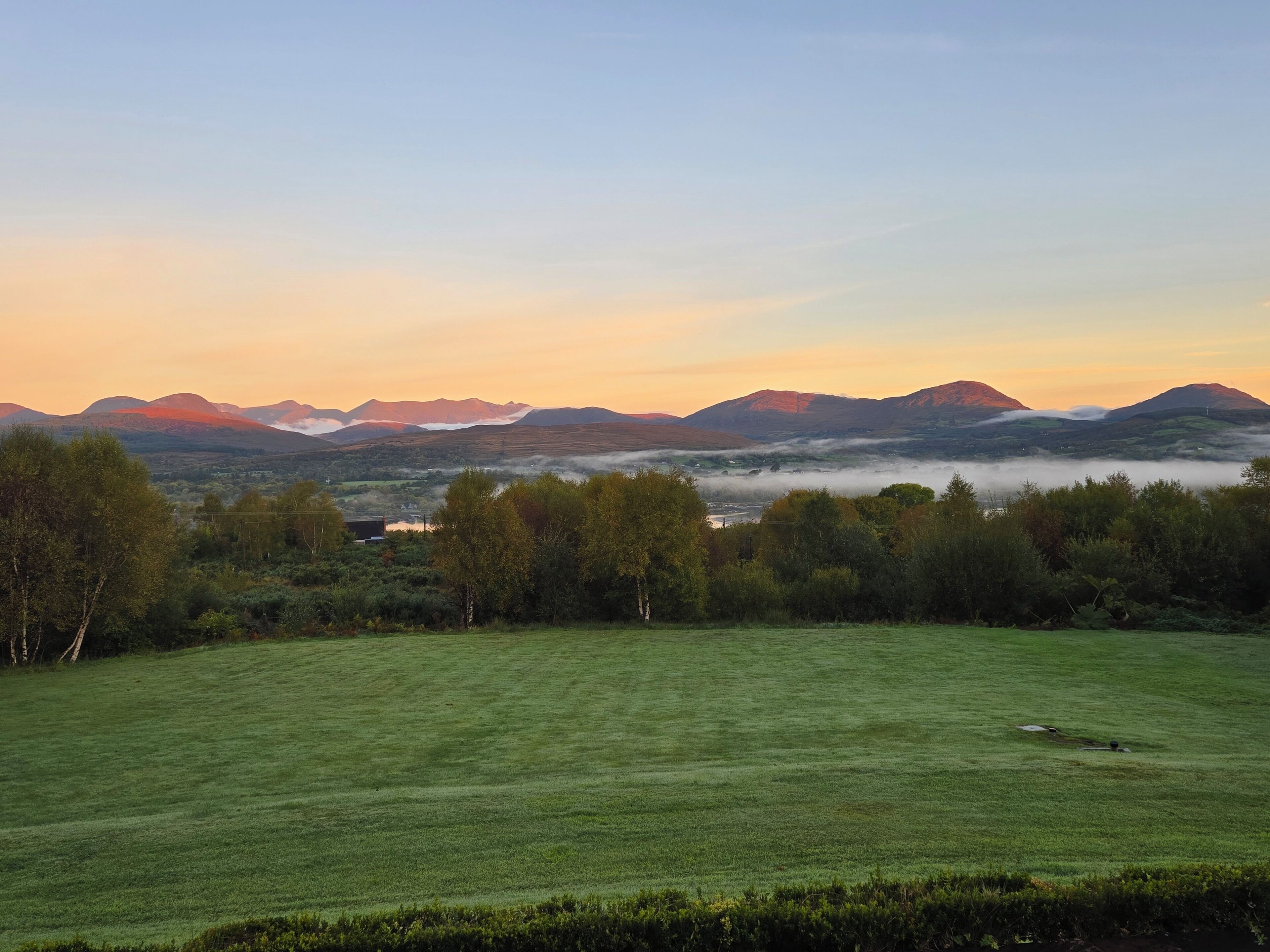 A grassy field with trees and mountains in the background.