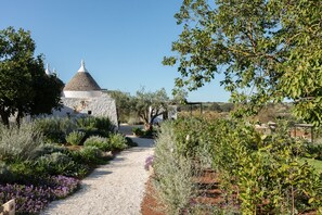 Property grounds - Trulli Ottocappelli - charm and authenticity in the heart of Puglia (Ceglie Messapica)