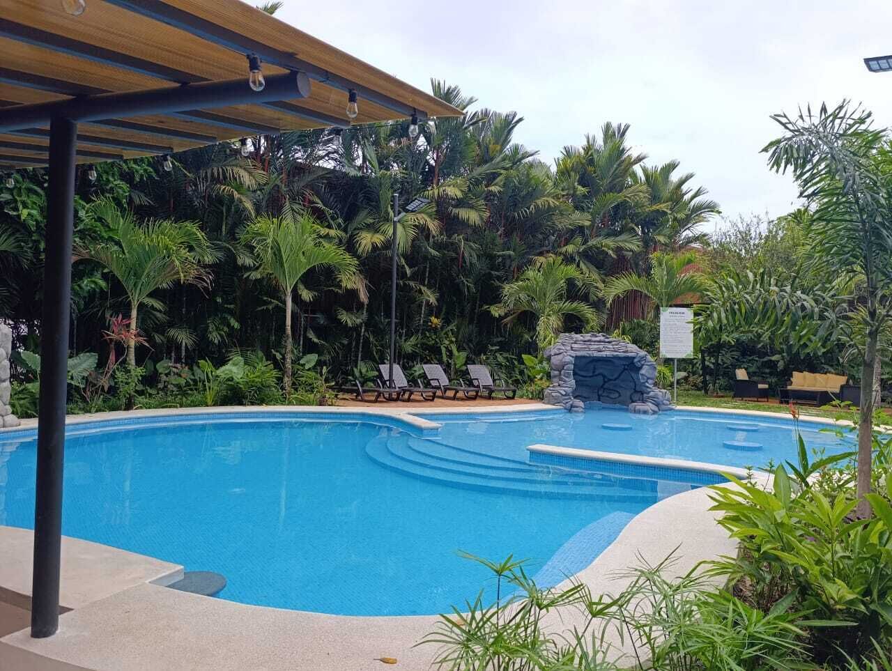 A swimming pool with a rock feature, surrounded by palm trees and lounge chairs.