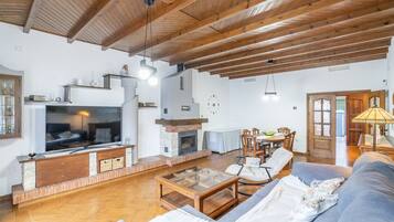 TV, fireplace