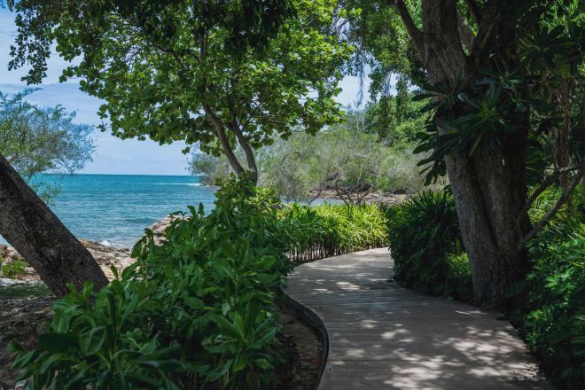 Ein gepflasterter Weg, umgeben von üppiger Vegetation und Bäumen, führt zu einem Strand mit klarem, blauem Wasser.