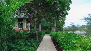 A pathway leading to a building surrounded by lush greenery.