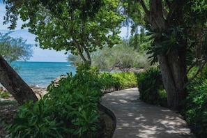 A paved pathway surrounded by lush greenery and trees, leading towards a body of water. - Kira Baya Koh Samed (Koh Samet)