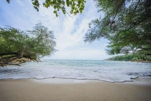 Ein Strand mit Bäumen und ruhigem Wasser.