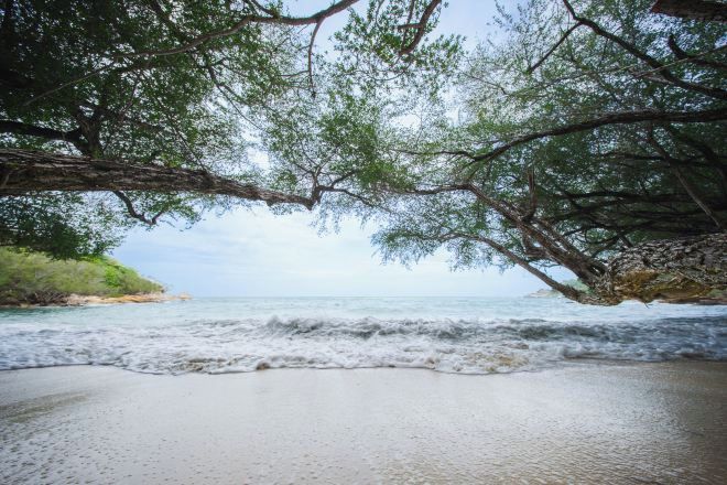 Ein Strand mit ruhigen Wellen, sandigem Ufer und üppigem Grün darüber.