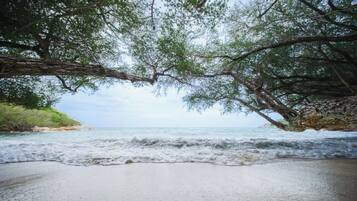 Ein Strand mit ruhigen Wellen, sandigem Ufer und üppigem Grün darüber.