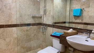 Bidet, towels, soap, toilet paper