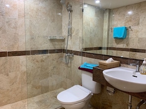 Bidet, towels, soap, toilet paper