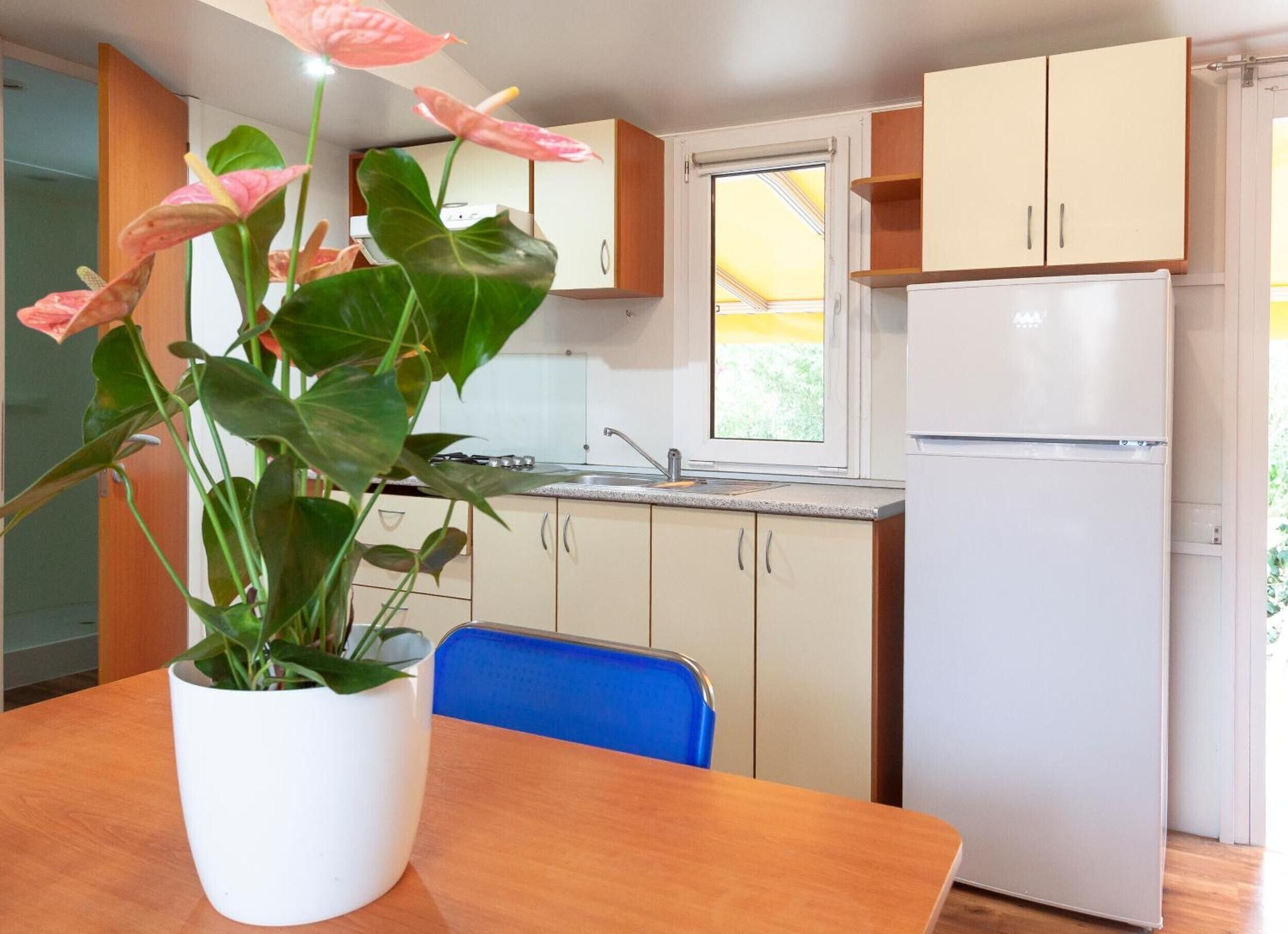 Réfrigérateur, four, plaque de cuisson, cafetière/bouilloire