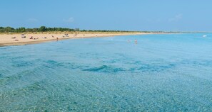 Playa en los alrededores 