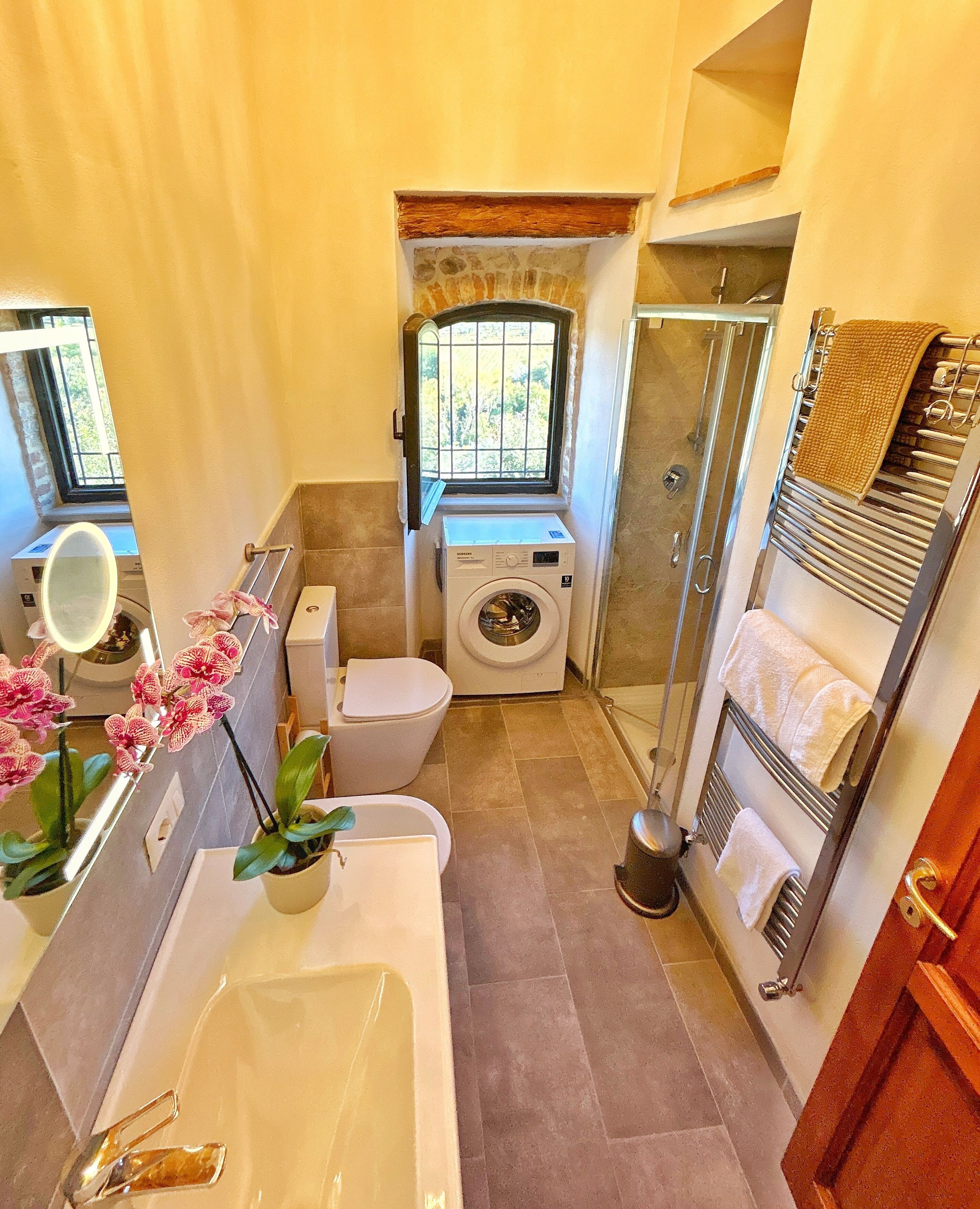 Shower, hair dryer, bidet, towels