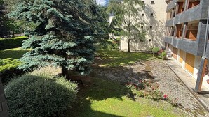 Un patio con un gran árbol de coníferas, un pozo de piedra y un edificio con balcones.