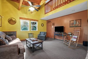 TV, caminetto, lettore DVD, libri