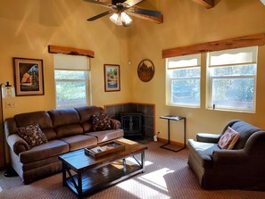 Televisión, chimenea, reproductor de DVD y libros 