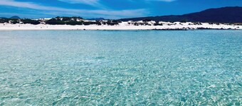 Island Adventure Charters Baja ~
Multi-day island excursions.