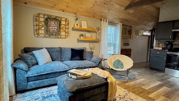 电视、DVD 播放器、影片库