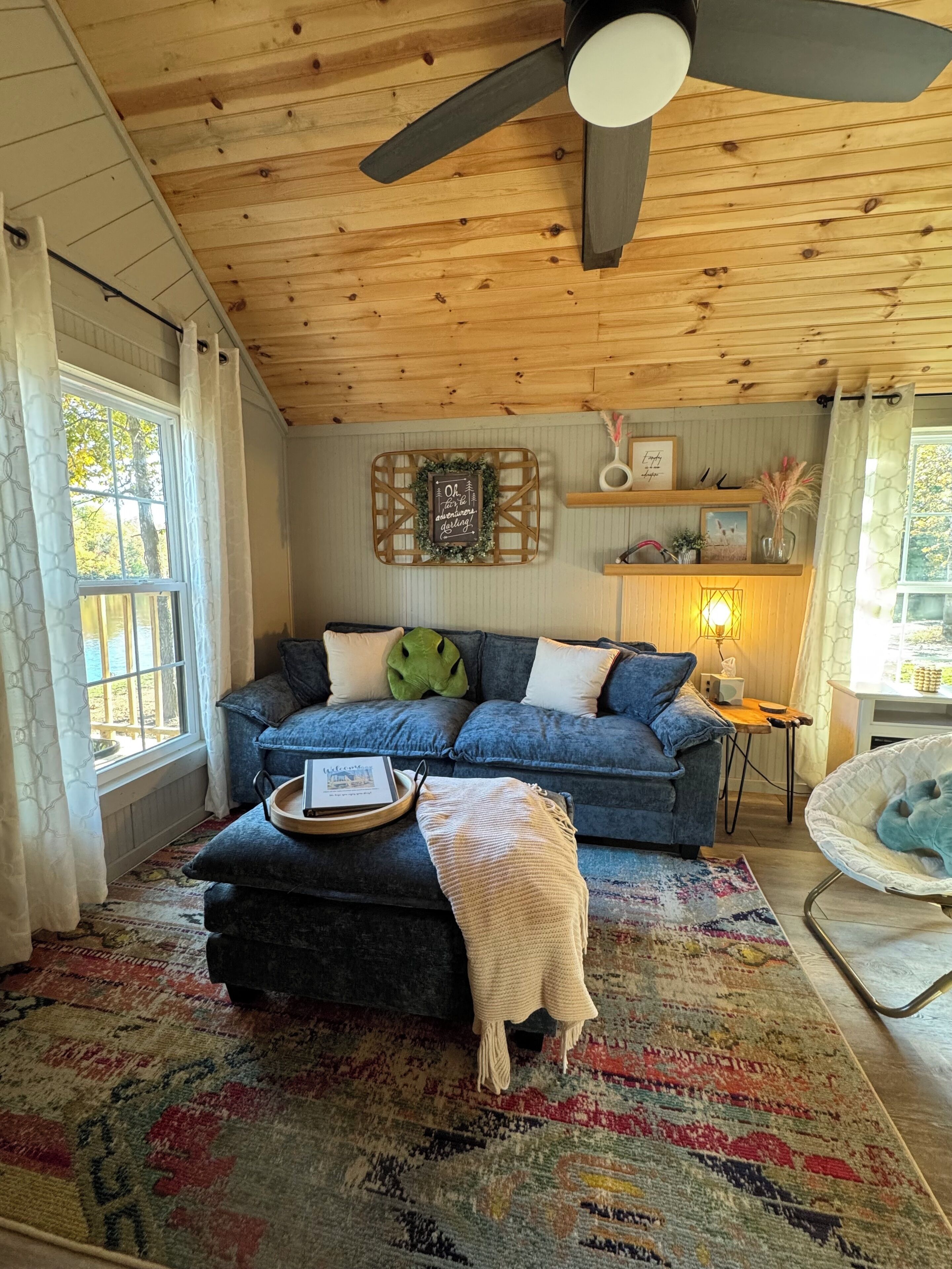 TV, DVD player, video library