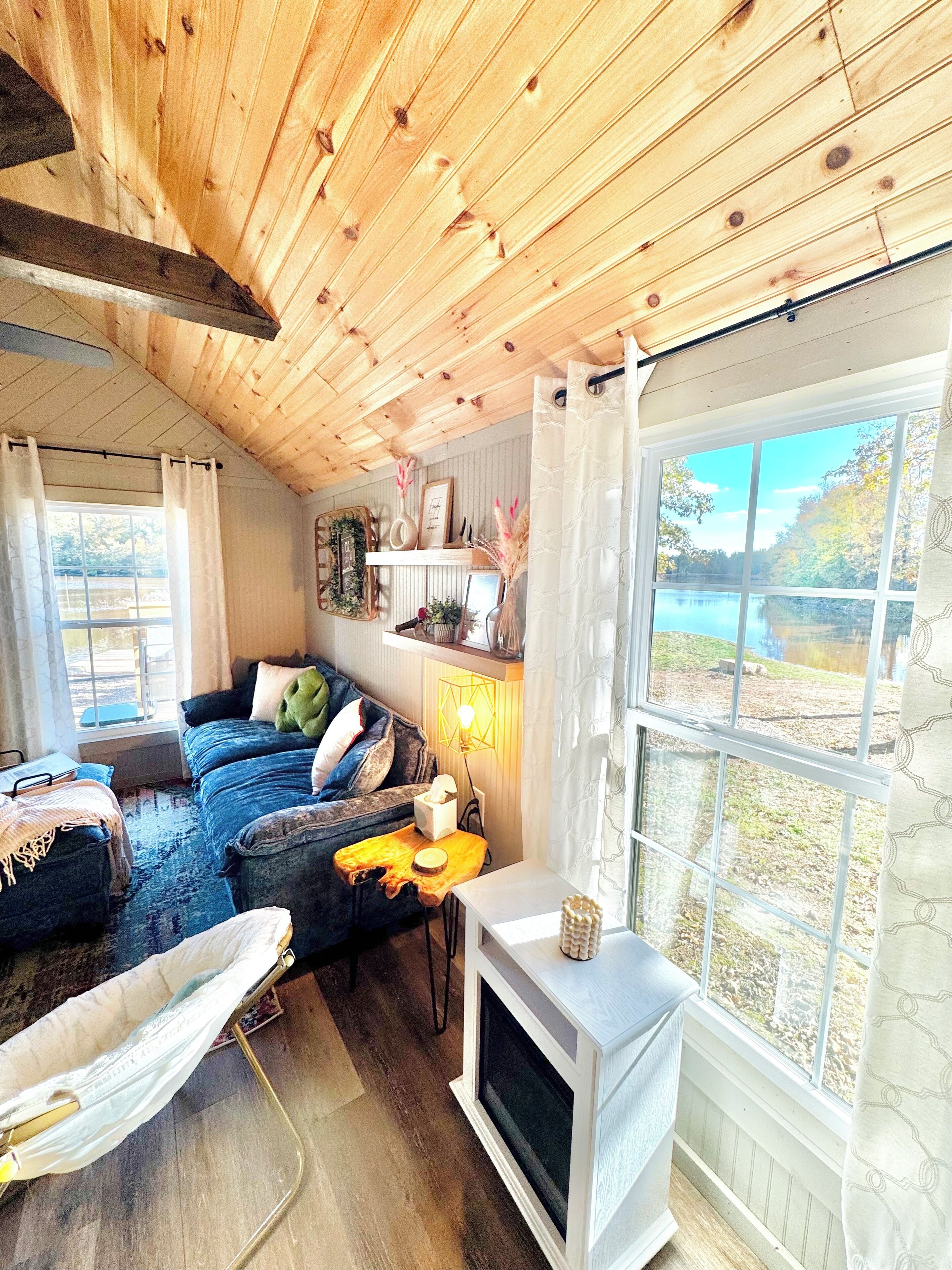 TV, DVD player, video library