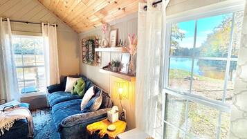 TV, DVD player, video library