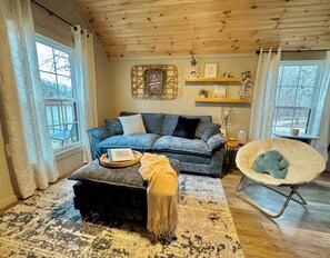 Télévision, lecteur de DVD, vidéothèque