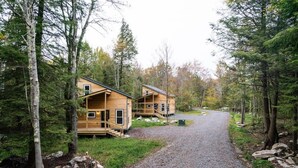 Una cabaña con un camino de grava que conduce a una terraza de madera, rodeada de un bosque denso.