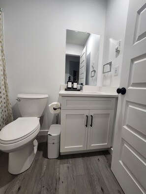 Hair dryer, towels, soap, shampoo