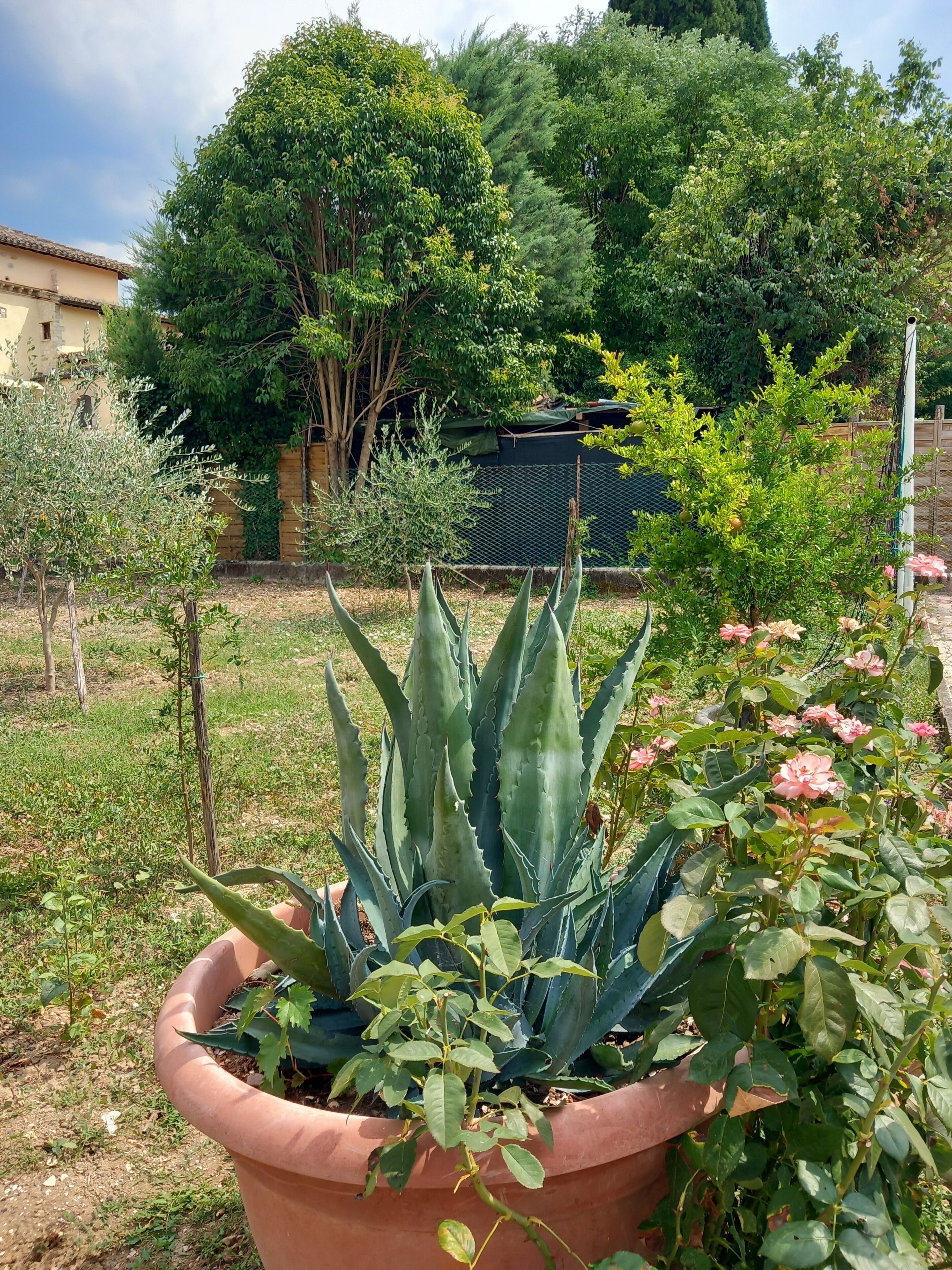 Terrein van de accommodatie