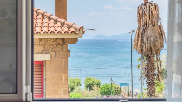 Vista desde una ventana a una zona costera con un edificio, una palmera y el mar.