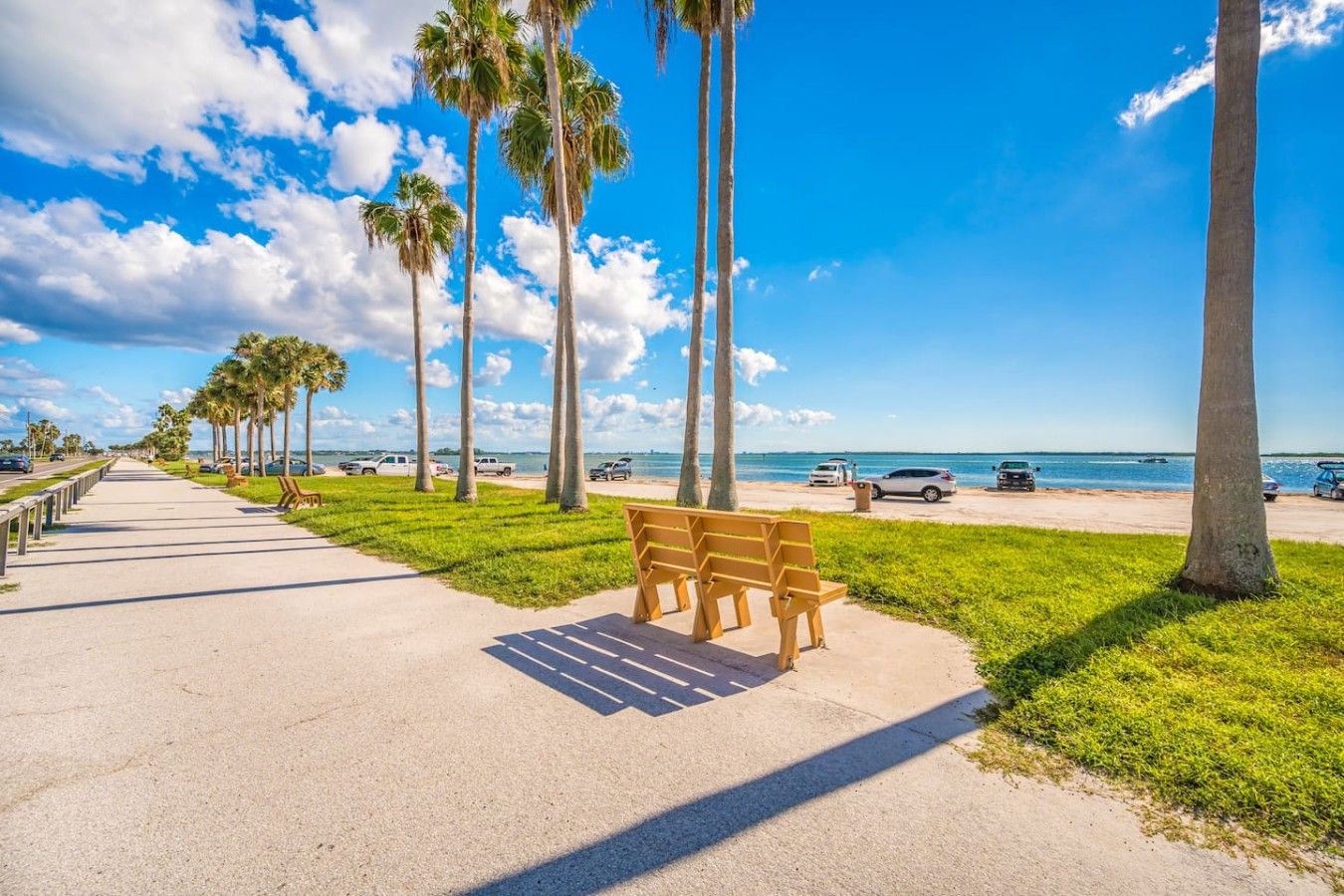 A paved walkway with benches, palm trees, and a view of the ocean.