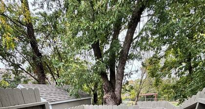 Pittsburg Porch House - 3 bedrooms 1 bathroom - Backyard