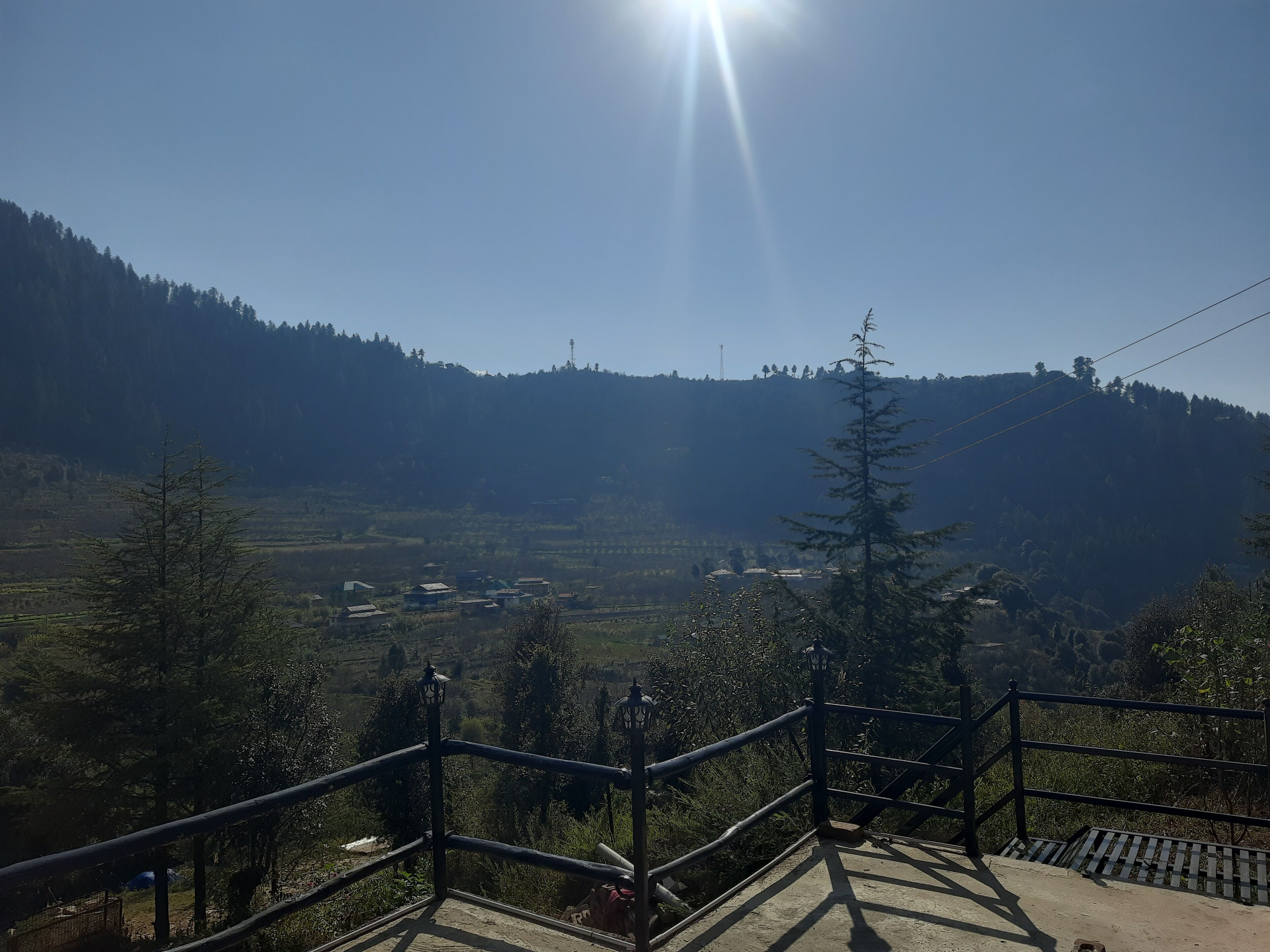 テラス / パティオ